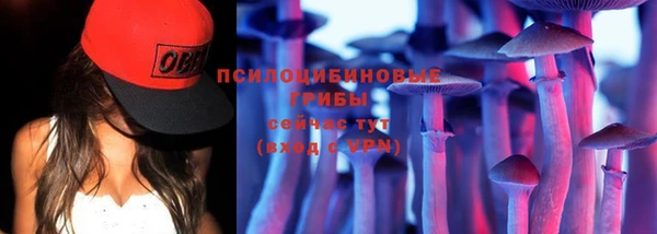 СК Семёнов